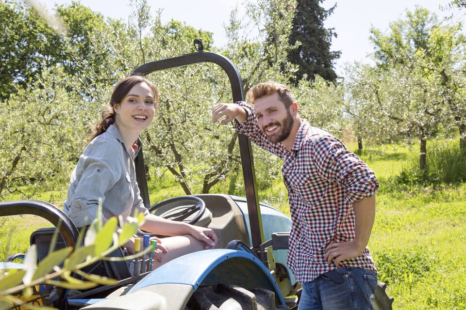 Un couple près d'un tracteur agricole dans une oliveraie